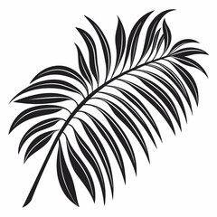 palm tree silhouette