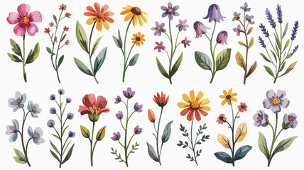 Watercolor wildflowers in pink orange yellow purple and blue on white background watercolor flowers floral