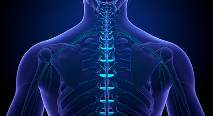3d rendered illustration of a painful shoulder