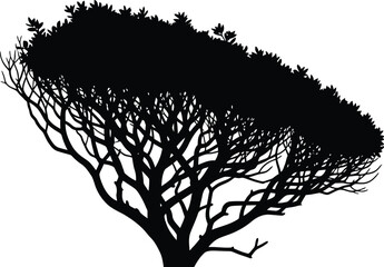 Obraz premium Silhouette of an acacia tree in savanna, a serene landscape evoking nature, wildlife, and the spirit of safari adventures