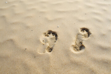 Footprints in Sand on Sunny Beach Summer Vacation