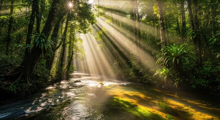 Fototapeta premium Sunlit Forest River: Dramatic Light Beams Through Lush Green Canopy