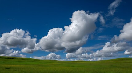Beautiful green meadow with fluffy white clouds drifting across a deep blue sky, creating a peaceful natural landscape perfect for backgrounds, relaxation, and environmental concepts.