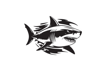 shark silhouette  vector