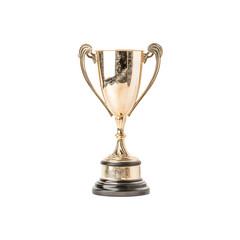 A shiny gold trophy with intricate detailing, featuring two handles and a black base