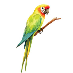 Fototapeta premium Vibrant Watercolor Parrot Perched on a Branch (1)