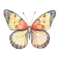 Watercolor Butterfly with Detailed Wing Patterns and Delicate Antennae (1)
