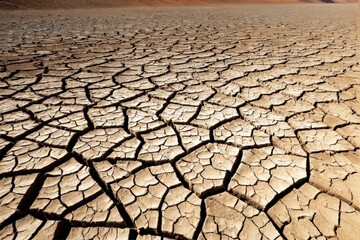 ドライ, 地球, 日照り, 
