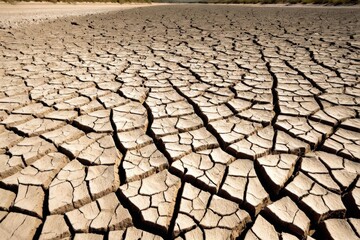 ドライ, 地球, 日照り, 