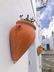 [Spain] Brown potted plant hung on a white wall (Frigiliana)