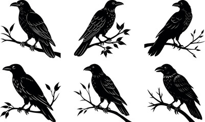 Six Silhouettes of Crows Perched on Branches