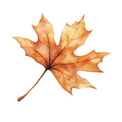 Watercolor Painted Autumn Leaf with Detailed Veins and Warm Tones (1)