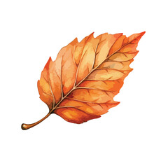Watercolor Painted Autumn Leaf with Detailed Veins and Warm Tones