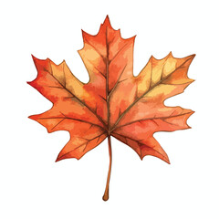 Watercolor Painted Autumn Maple Leaf with Vivid Orange and Yellow Hues