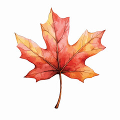 Watercolor Painted Autumn Maple Leaf with Vibrant Red and Yellow Hues