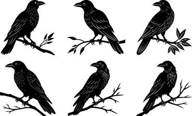 Obraz premium Silhouette Illustration of Six Crows Perched on Branches