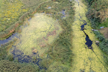 aerial view of  river overgrown with water grass and algae. Boat on river bank. Latvia, Vircava river