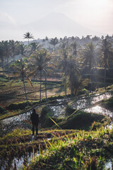 Man Gazing at Rice Terraces and Distant Volcano, Bali
