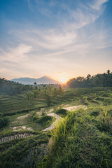 Sunrise over Rice Terraces in Bali, Indonesia