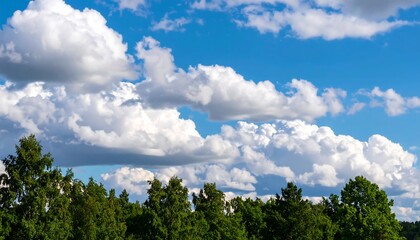Fluffy clouds over green forest.