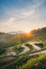 Sunrise Over Rice Terraces in Bali, Indonesia