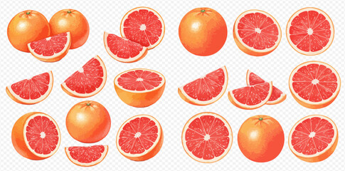 A vibrant illustrated set of fresh red grapefruits, showing whole fruits, juicy halves, and sliced wedges on a transparent background.