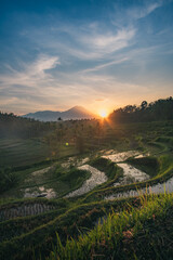 Sunrise Over Rice Terraces, Bali, Indonesia