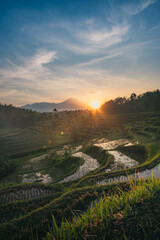 Stunning Sunrise over Rice Terraces in Bali, Indonesia