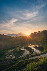 Sunrise over Rice Terraces in Bali, Indonesia