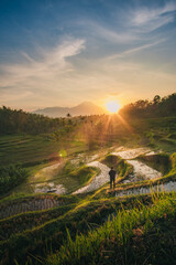 Man standing in rice terraces at sunrise