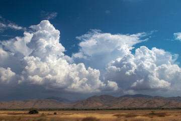 Fototapeta premium Monsoon clouds gathering over arid plains