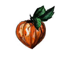 An artistic depiction of a husk tomato physalis showcasing its bright orange color and heart-like shape with green leaves. The illustration highlights the organic beauty of this fruit.