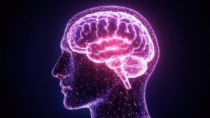 Human brain illustration glowing with neural connections and electrical activity in vivid purple and pink colors with digital network background for neuroscience research and education
