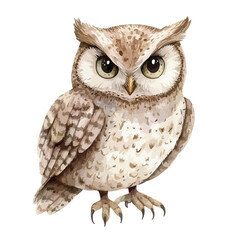 Naklejka premium Watercolor Style Owl with Mottled Brown and Cream Plumage Piercing Gaze