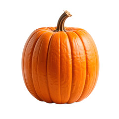 Obraz premium Tall Pumpkin Isolated on transparent png Background
