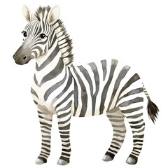 Watercolor Style Zebra Portrait Side View