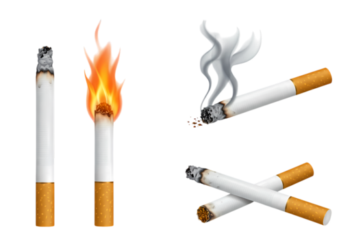 Cigarette Illustrations Lit Burning and Extinguished isolated on transparent background