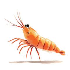 Watercolorstyle orange shrimp with long antennae and multiple legs