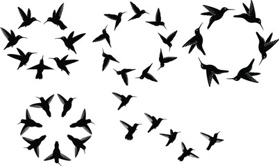 Hummingbird set  silhouette vector illustration, humming birds hummingbird logo vector icon illustration, Colibri flying bird silhouette,  silhouette vector illustration on white background