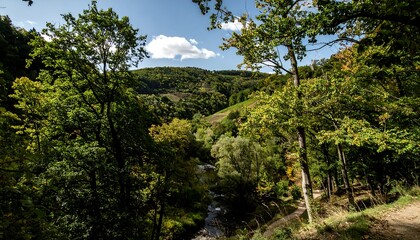 Obraz premium Autumn valley vista