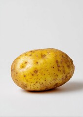 Single potato, light yellow, bumpy skin, studio shot