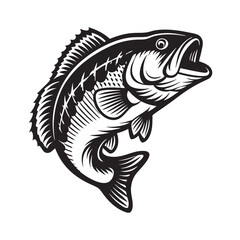 Leaping Bass Illustration, Monochrome Fish Isolated on White Background