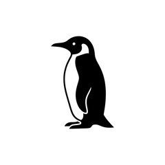 Fototapeta premium penguin vector illustration