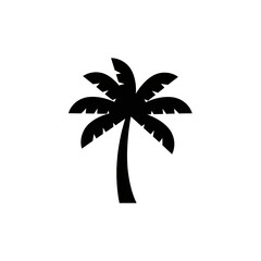 palm tree vector illustration
