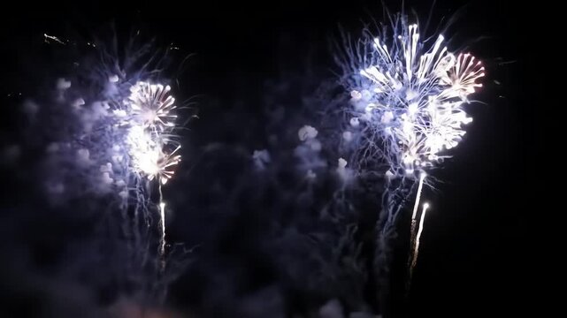 Brilliant White Fireworks Launch and Explode in a Symmetrical Display Against the Dark Night Sky