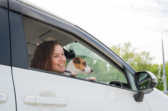 Caucasian woman looking out of car window with dog. - Powered by Adobe