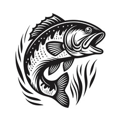 Bass Fish in Black and White Leaping with Water Splashes, White Background