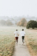 Obraz premium Two men, one Black and one White, jog side by side on a path through a misty park filled with greenery and trees, capturing the essence of early morning fitness