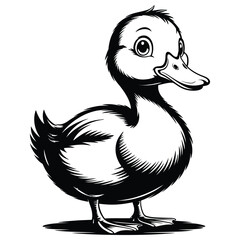 duck vector illustration