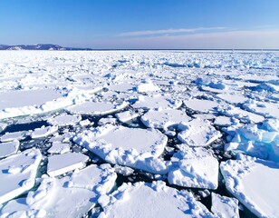 Obraz premium Ice floes cover a vast expanse of ocean